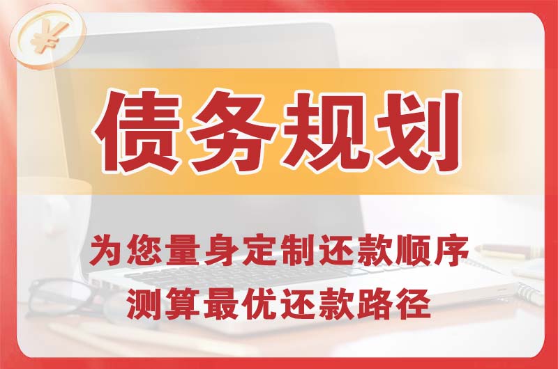 阿坝县债务规划